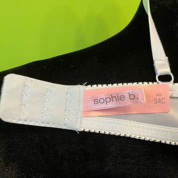 Romantic pastel Blue Rainbow Lace Corset Lingerie Bra, Size 34c, NWOT - Picture 5 of 8